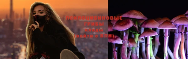 шишки Алексин