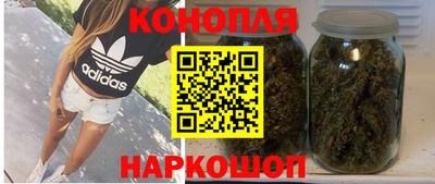 МДПВ Бийск