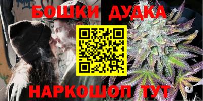 МДПВ Бийск