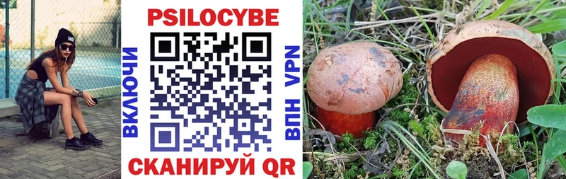 Псилоцибиновые грибы Psilocybine cubensis Борзя