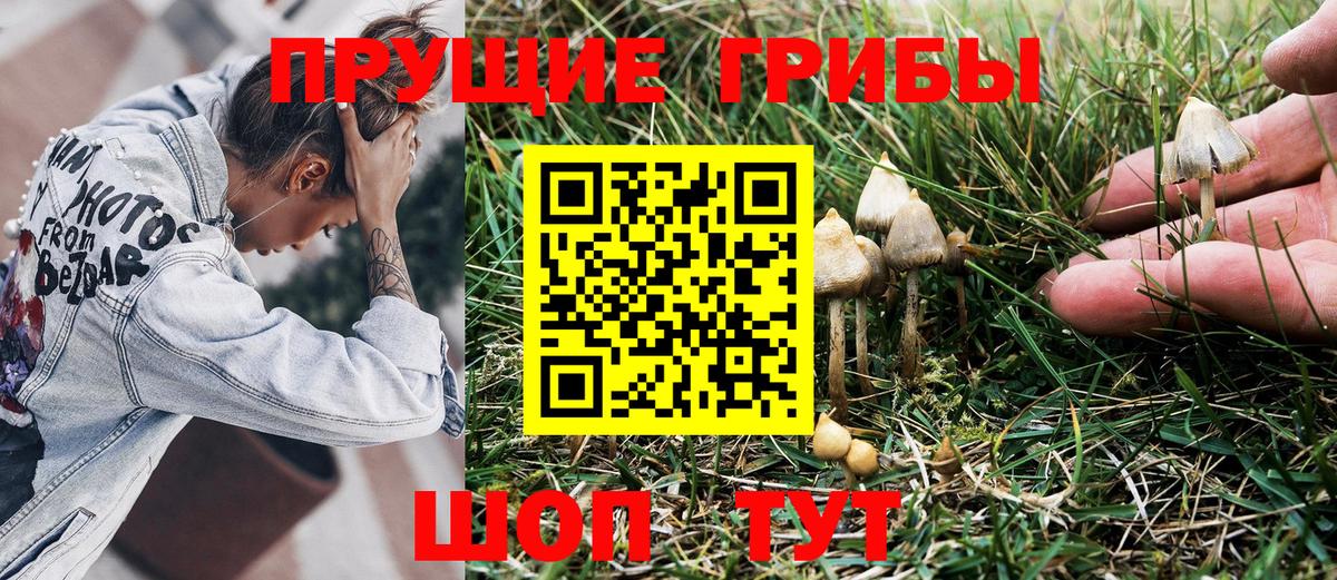 Псилоцибиновые грибы Magic Shrooms Борзя