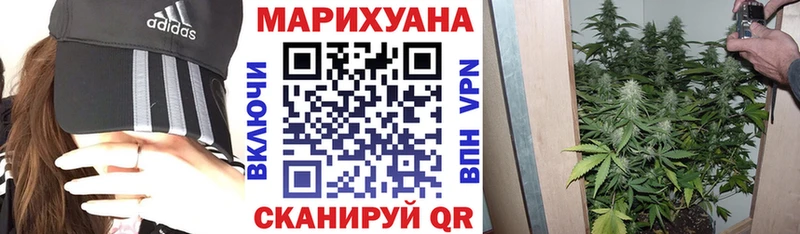 Шишки марихуана ГИДРОПОН  купить наркоту  Борзя 